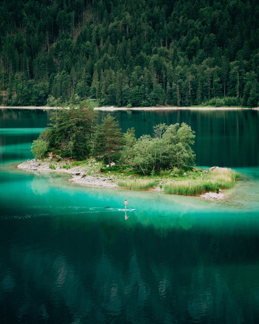 green lake surrounded by green trees during daytime